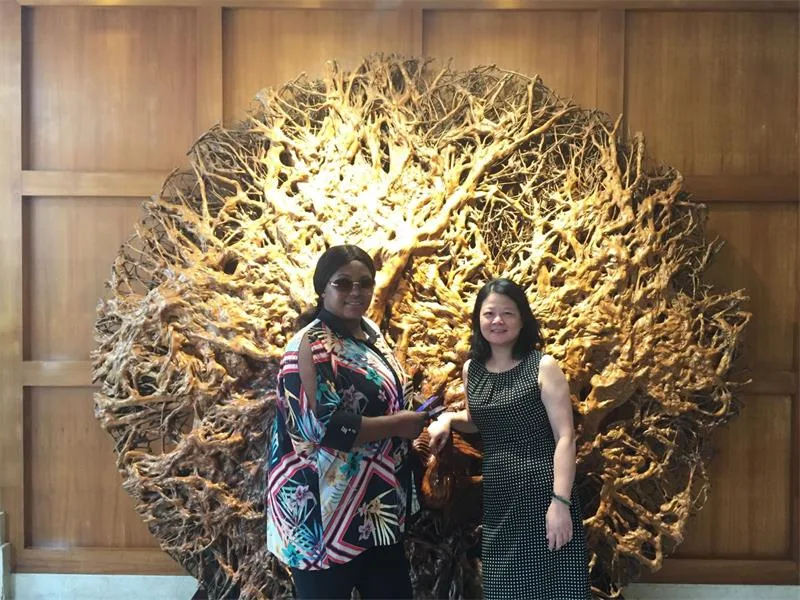 Food Packaging Bags Supplier