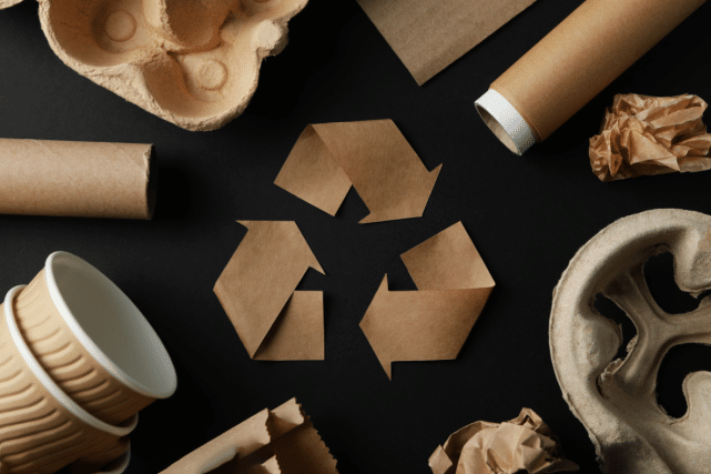Sustainable Packaging Solutions: Promoting
